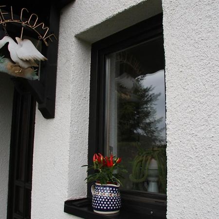 Ferienwohnung Am Steinbachtal Thale Exterior photo